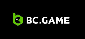 Understanding the BC.Game Mirror Login Process -636963464
