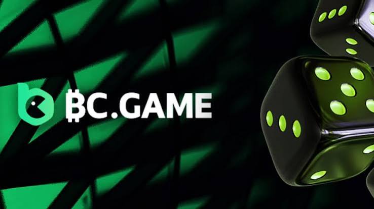 Unlocking the Potential of Bonuses in Hash Game